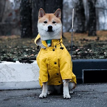 אופנה כלב מעיל עמיד למים מעיל מעיל מעיל קורגי הגלימה בסגנון קטן, בינוני כלבים אטים לגשם עם ברדס מעיל גשם לכלב.