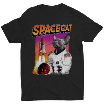 ספינקס חתול מצחיק בחלל חתול חלל, ארה 
